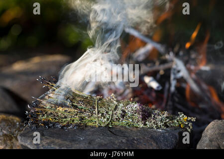 Räuchern am Lagerfeuer, Räucherbündel, Räucherbüschel, Räucherritual, Sommersonnenwende, Räuchern mit Kräutern, Kräuter verräuchern, Wildkräuter, Duft Foto Stock