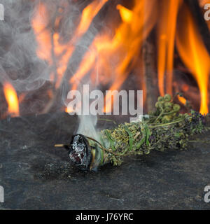 Räuchern am Lagerfeuer, Räucherbündel, Räucherbüschel, Räucherritual, Sommersonnenwende, Räuchern mit Kräutern, Kräuter verräuchern, Wildkräuter, Duft Foto Stock