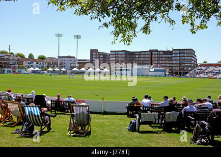 Gli spettatori a guardare il cricket a Sussex's home terra a Hove County Ground a Brighton e Hove Foto Stock