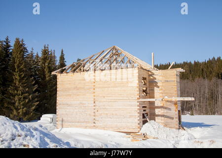 La costruzione di una nuova casa in legno da un bar in inverno, Perm Krai, Russia Foto Stock