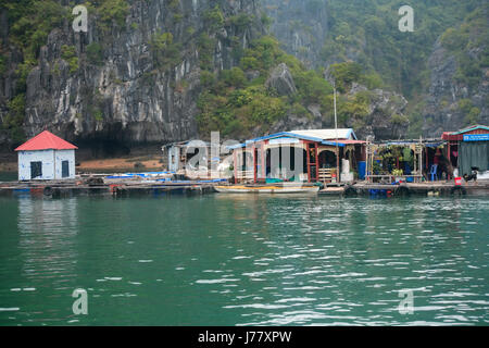 Halong Bay, Vietnam - Marzo 7, 2017: mercato galleggiante vicino a Cat Ba island, Halong Bay, Vietnam Foto Stock