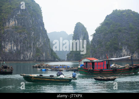 Halong Bay, Vietnam - Marzo 7, 2017: fishingl barche vicino a Cat Ba island, Halong Bay, Vietnam Foto Stock