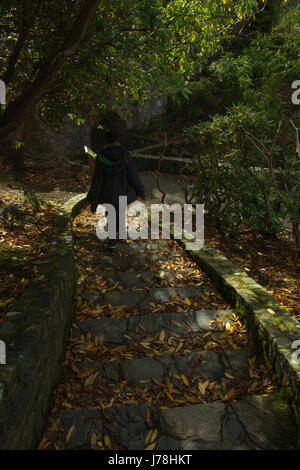 Una loggia massonica scalinata di pietra coperto con foglie secche circondata da una foresta di alberi con una piccola figura umana in background Foto Stock