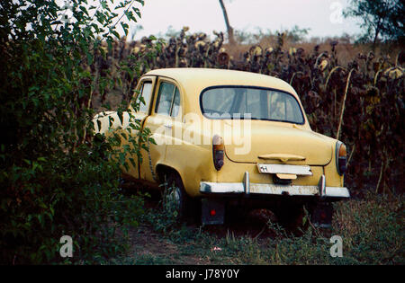 Vecchia auto di colore beige. È nella foresta, sulla strada del campo. Vista posteriore. Non vi è spazio per una targa. Foto Stock