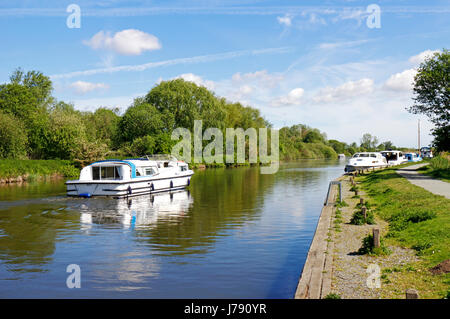 Una vista della flotta Dike all'ingresso sud Walsham ampio nel Parco nazionale di Broads, Norfolk, Inghilterra, Regno Unito. Foto Stock