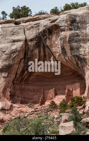 Sunny alcova, rovine Anasazi, sabbia Canyon Trail, canyon degli antichi Monumento Nazionale a nord-ovest di Cortez, Colorado. Foto Stock