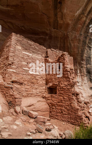 Sunny alcova, rovine Anasazi, sabbia Canyon Trail, canyon degli antichi Monumento Nazionale a nord-ovest di Cortez, Colorado. Foto Stock