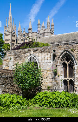 Una vista sulle guglie e torri di Peterborough Cathedral dietro i resti dei monaci dormitorio e Refettorio nella storica città di Peterborough Foto Stock