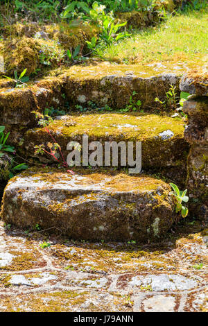 Coperte di muschio gradini di granito in un giardino Devon link due livelli giardino Foto Stock
