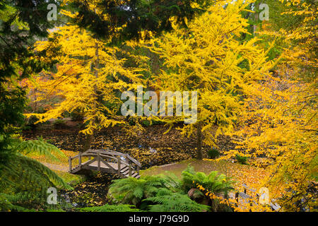 Alfred Nicholas Memorial Gardens Foto Stock