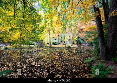 Alfred Nicholas Memorial Gardens Foto Stock