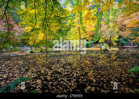 Alfred Nicholas Memorial Gardens Foto Stock