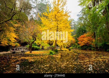 Alfred Nicholas Memorial Gardens Foto Stock