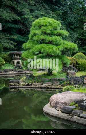 Bel paesaggio con uno stagno circondato da lussureggianti e ordinata vegetazione. In background, dietro a un albero maestoso, sorge una lanterna di pietra. Foto Stock