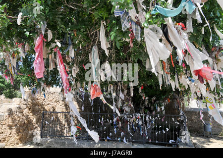 Offerte di personale sulla struttura ad albero a Agia Solomoni catacomba, Paphos, Cipro Foto Stock