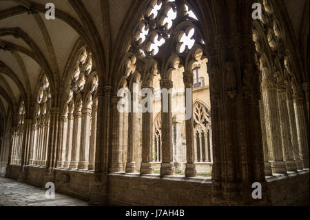 Chiostro della Cattedrale di Oviedo (Catedral de San Salvador, Asturias, Spagna Foto Stock