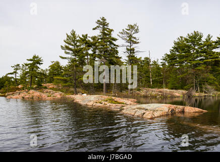 Una piccola foresta e il Lago di Killarney Provincial Park, Ontario, Canada Foto Stock