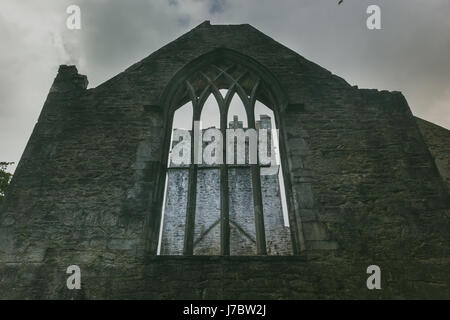 La muckross abbey in rovine. Foto Stock