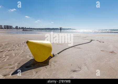 Giallo boa conica sulla spiaggia di Les Sables d'Olonne a bassa marea Foto Stock