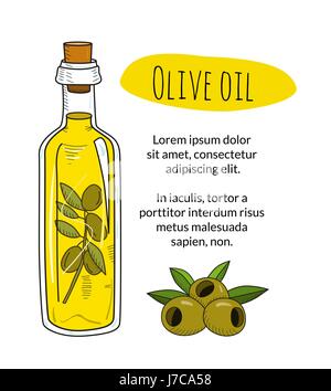 Colorati disegnati a mano olio d'oliva Bottiglia con un testo di esempio Illustrazione Vettoriale