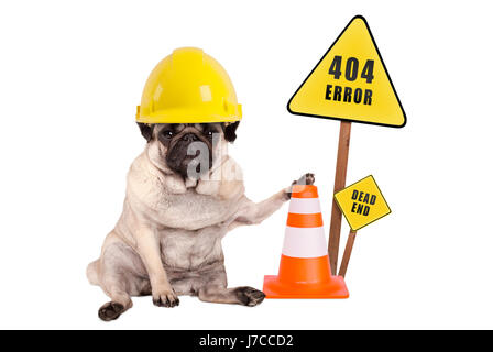 Pug dog con giallo costruttore casco di sicurezza e il cono e 404 Errore e dead end segno sul palo di legno, isolato su sfondo bianco Foto Stock