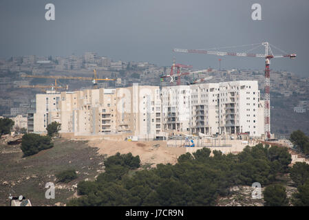 Costruzione di gru a torre di espansione su di Har Homa, un insediamento israeliano costruire su terreni presi dalla Cisgiordania villaggio palestinese di Beit Sahour, Dicembre 28, 2016. Tutti gli insediamenti israeliani nei territori palestinesi occupati sono illegali ai sensi del diritto internazionale. Foto Stock