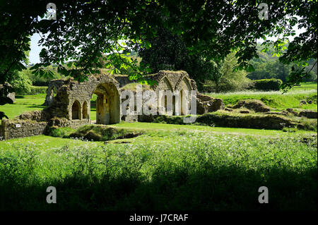 Le rovine di Hailes Abbazia, Gloucestershire Foto Stock