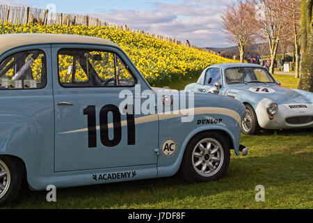 1959 Austin Healey Sebring Sprite e Austin A35 in mostra statica al Goodwood GRRC 74MM Assemblea dei Soci, Sussex, Regno Unito. Foto Stock