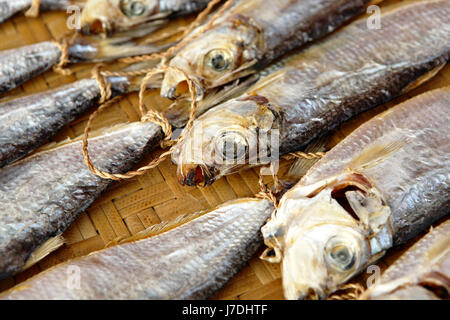 Pesce cibo essiccato aliment viaggiare all'interno isolato il pesce pietra tradizionale rock Foto Stock