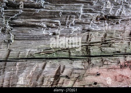 Sfondo. rustiche tavole di legno con grana visibile Foto Stock