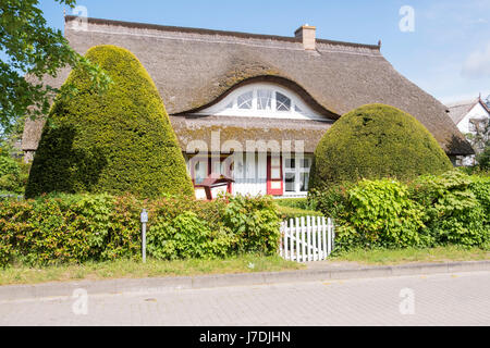 Tipici cottage con il tetto di paglia alla Nato auf dem Darss, Meclenburgo-Pomerania Occidentale, Germania Foto Stock