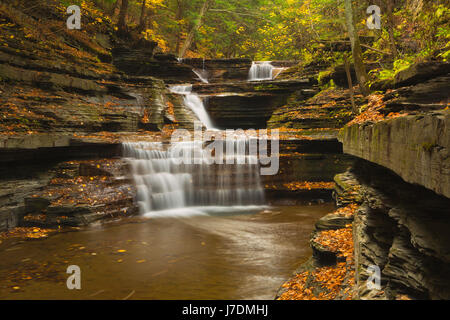 Un latticello Creek cascata lungo il latticello Creek Gorge vicino a Ithaca, New York in autunno. Stati Uniti d'America Foto Stock