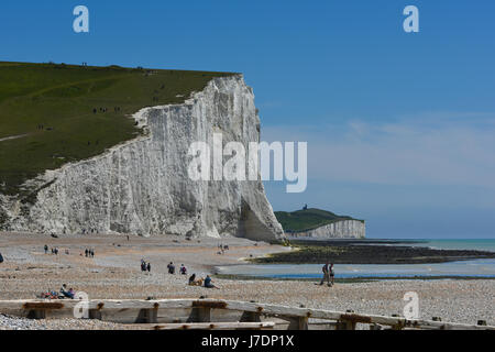 Lo sfondo su una giornata d'estate. Sette sorelle, East Sussex, Regno Unito Foto Stock