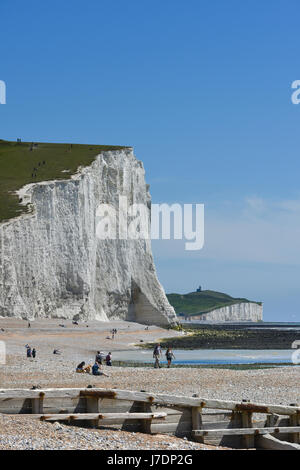 Lo sfondo su una giornata d'estate. Sette sorelle, East Sussex, Regno Unito Foto Stock