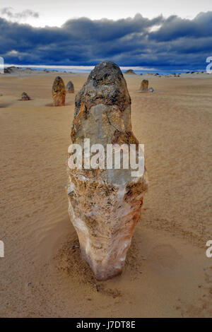 Una vista verticale del Deserto Pinnacles nel Nambung National Park, vicino alla città di Cervantes in Western Australia. Foto Stock