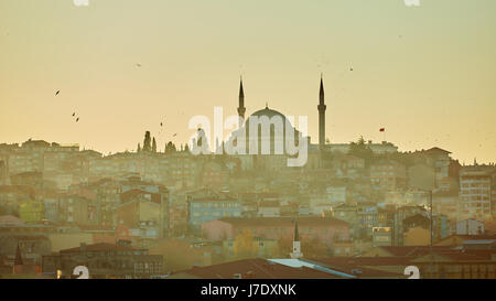 Silhouette di una Moschea Fatih in una nebbia e sole riflessioni. In stile vintage. Foto Stock