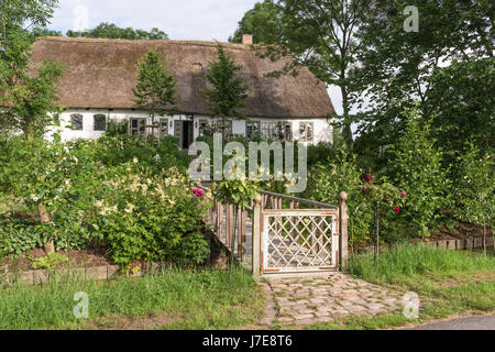 Gated passerella e giardino con tetto di paglia del xvii secolo famhouse costruito nel XII secolo earthmound per impedire allagamento Foto Stock