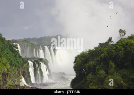 Cascate di Iguassù, vista dal percorso inferiore (Argentina) fino al canyon per il brasiliano cade e la Gola del Diavolo. Foto Stock