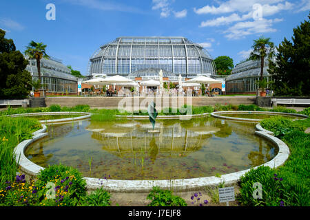 Serra a Berlino il giardino botanico di Dahlem, Berlino, Germania Foto Stock