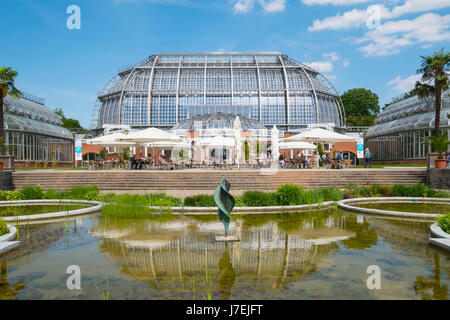 Serra a Berlino il giardino botanico di Dahlem, Berlino, Germania Foto Stock