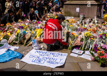 Manchester attacco terroristico. Manchester, in Inghilterra il 24 maggio 2017. Un uomo in Manchester United top stabilisce i fiori in un memoriale di St. Annes Square, il centro città di Manchester dopo gli attentati terroristici a Manchester Arena dopo un concerto dell'artista statunitense Ariana Grande. Foto: Ian WALKER / Alamy Live News Foto Stock