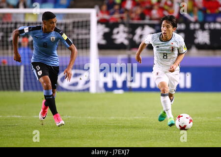 Suwon, Corea del Sud. Xxiv Maggio, 2017. Koji Miyoshi (JPN) Calcio/Calcetto : 2017 FIFA U-20 World Cup Gruppo D match tra Uruguay 2-0 Giappone a Suwon World Cup Stadium di Suwon, Corea del Sud . Credito: Sho Tamura AFLO/sport/Alamy Live News Foto Stock