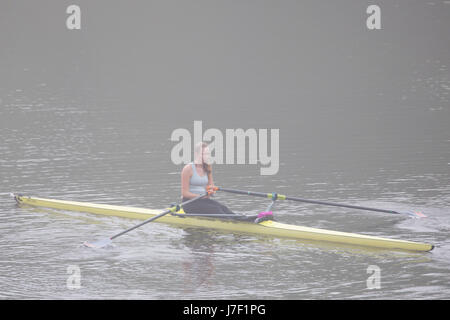 Chester, Cheshire, 25 maggio 2017 UK Meteo. La giornata inizia con la nebbia costiera e aree interne di questa mattina prima che il sole brucia è lontano di essere ancora un altro giorno caldo per molti nel Regno Unito. Un inizio di nebbia in Chester per questo rower sul fiume Dee prima che diventi il giorno più caldo dell'anno finora questo anno. © DGDImages/Alamy Live News Foto Stock