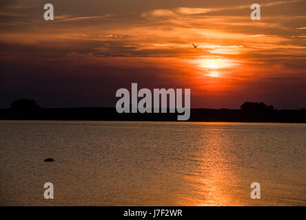 Ruegen, Germania. 18 Maggio, 2017. Tramonto vicino a Neu Reddevitz sull'isola baltica di Ruegen, Germania, 18 maggio 2017. Ruegen è la più grande e la più popolata isola tedesca con 77.000 abitanti. Foto: Jens Büttner/dpa-Zentralbild/ZB/dpa/Alamy Live News Foto Stock