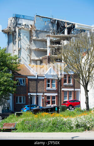 Brighton, Regno Unito. 25 Maggio, 2017. Un oasi di colore ha germogliato nel centro città di Brighton durante il caldo come un prato di fiori selvatici ha fiorì tra traffico e cassonetti per il riciclaggio provocando agitazione in Edward Street . Le previsioni per domani per essere il giorno più caldo dell'anno finora Credito: Simon Dack/Alamy Live News Foto Stock