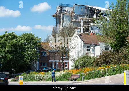 Brighton, Regno Unito. 25 Maggio, 2017. Un oasi di colore ha germogliato nel centro città di Brighton durante il caldo come un prato di fiori selvatici ha fiorì tra traffico e cassonetti per il riciclaggio provocando agitazione in Edward Street . Le previsioni per domani per essere il giorno più caldo dell'anno finora Credito: Simon Dack/Alamy Live News Foto Stock