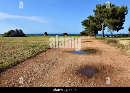 Strada di campagna al mare in Puglia Foto Stock