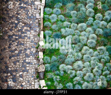 Strada di ciottoli e piante verdi in San Giorgio Rocca a Lisbona, Portogallo Foto Stock