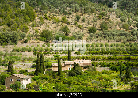 Villaggio di montagna con piantagioni di agrumi, Fornalutx, Serra de Tramuntana, Maiorca, Baleari, Spagna Foto Stock