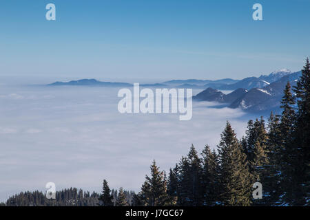 Summit sulla copertura nuvolosa, vista dalla stazione a monte del Laberbergbahn, Oberammergau, Baviera, Germania Foto Stock